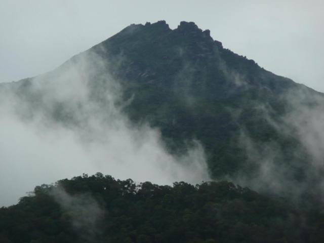 Coral Sea Views Diwan