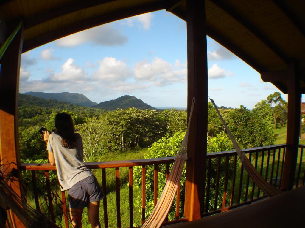 Coral Sea Views Diwan